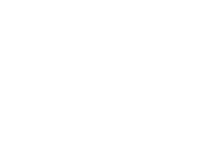 Fairy