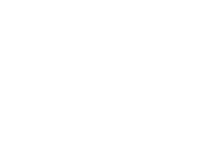 Birds-Eye